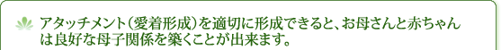 �A�^�b�`�����g�i�����`���j��K�؂Ɍ`���ł���ƁA���ꂳ��ƐԂ����͗ǍD�ȕ�q�֌W��z�����Ƃ��ł��܂��B
