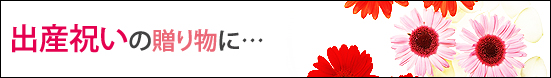 �o�Y�j���̑��蕨��