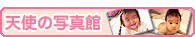 �V�g�̎ʐ^��