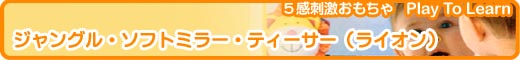 �W�����O���E�\�t�g�~���[�E�e�B�[�T�[(���C�I��)