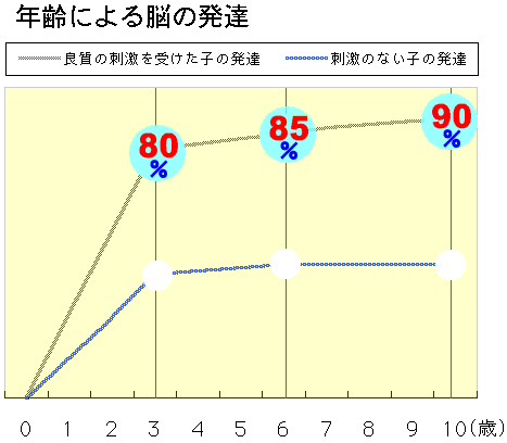 年齢による脳の発達