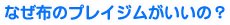 �Ȃ��z�̃v���C�W���������́H