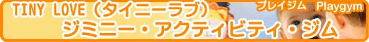 TINY LOVE(タイニーラブ)ジミニ・アクティビティ・プレイジム