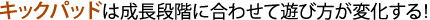 �L�b�N�p�b�h�͐����i�K�ɍ��킹�ėV�ѕ����ω�����