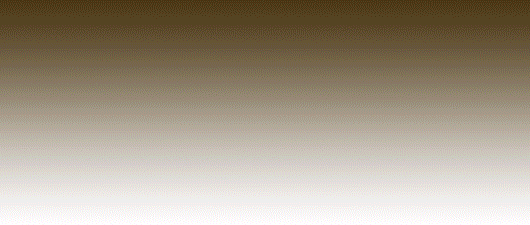 ����𒴂��ē`���Ă��������{���̖؂̂������Ⴊ�A�����ɂ���