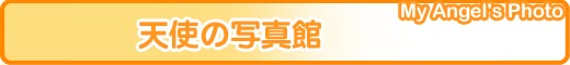 �����}�K�E�o�b�N�i���o�[