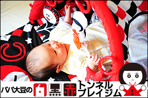 バナー