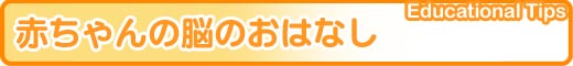 �Ԃ����̔]�̂��͂Ȃ�